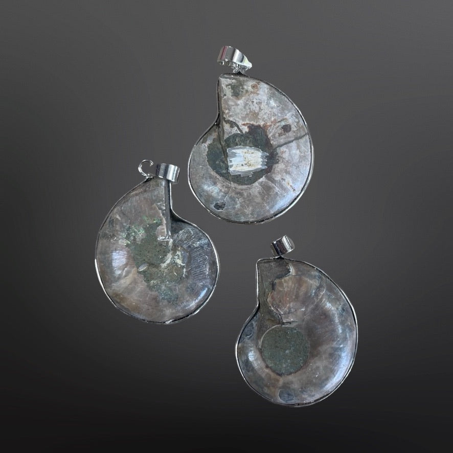 Ammonite Pendants