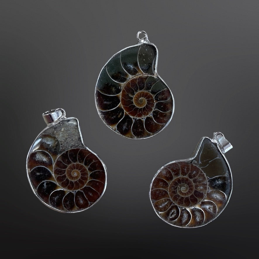 Ammonite Pendants