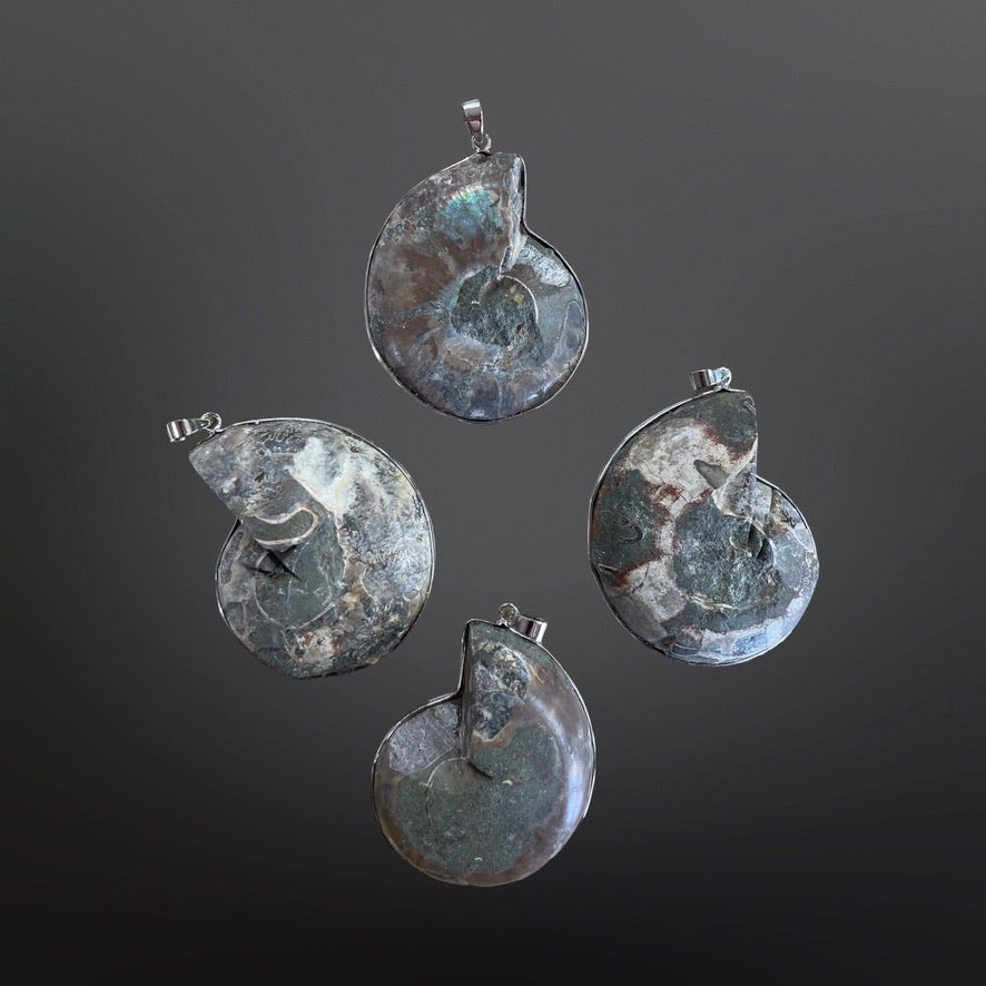 Ammonite Pendants