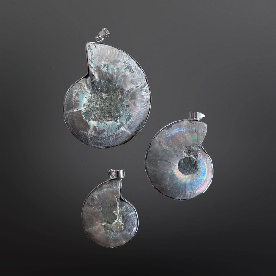 Ammonite Pendants
