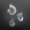 Ammonite Pendants