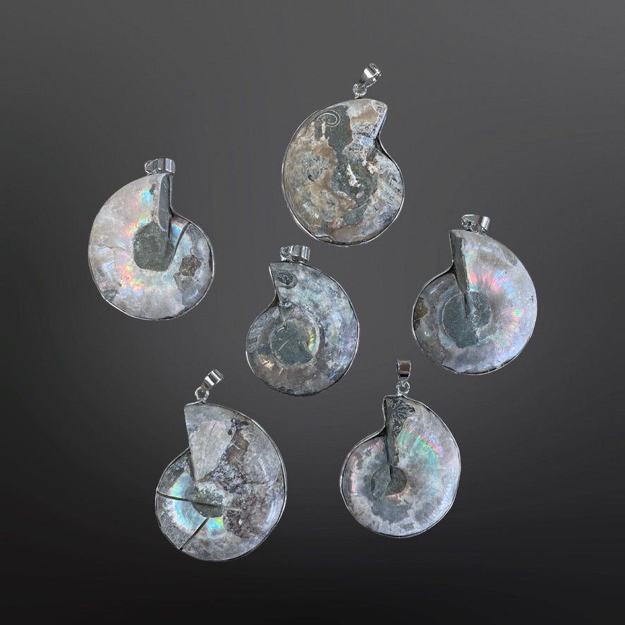 Ammonite Pendants