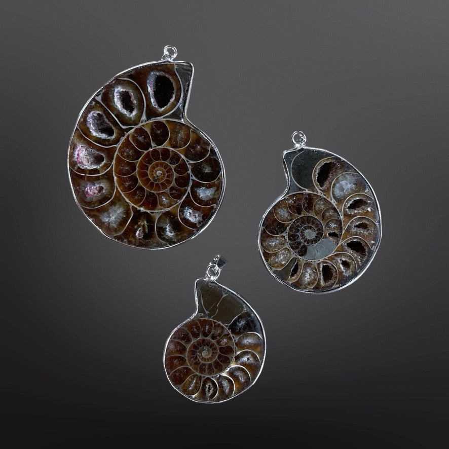 Ammonite Pendants