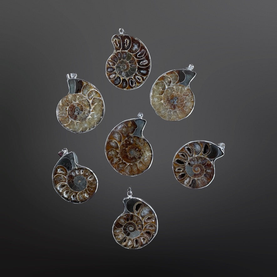Ammonite Pendants