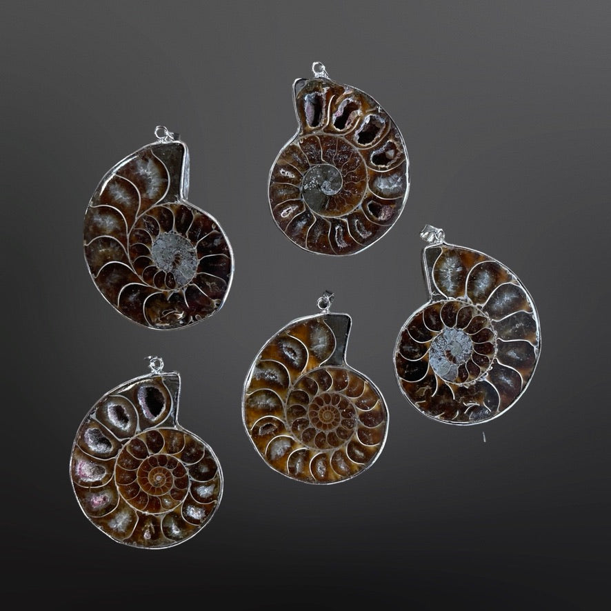 Ammonite Pendants