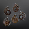 Ammonite Pendants