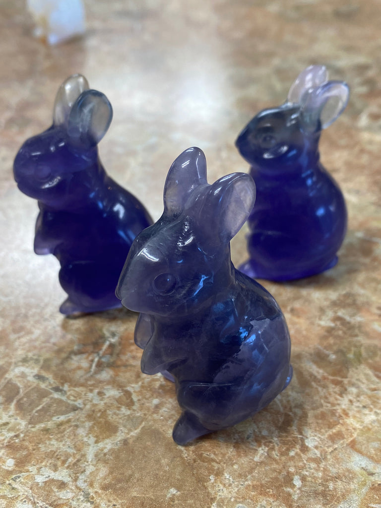 Assorted Rabbits big