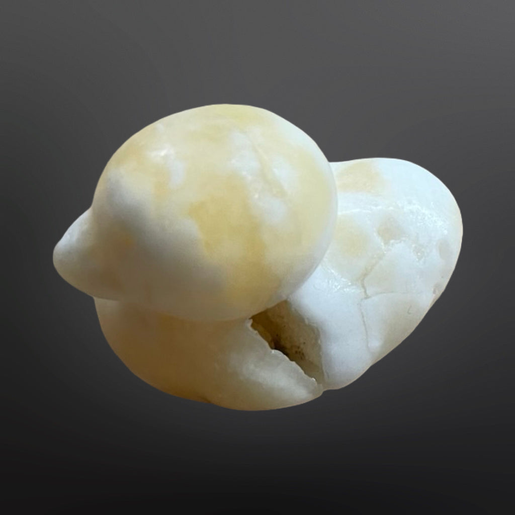 Stone Duck