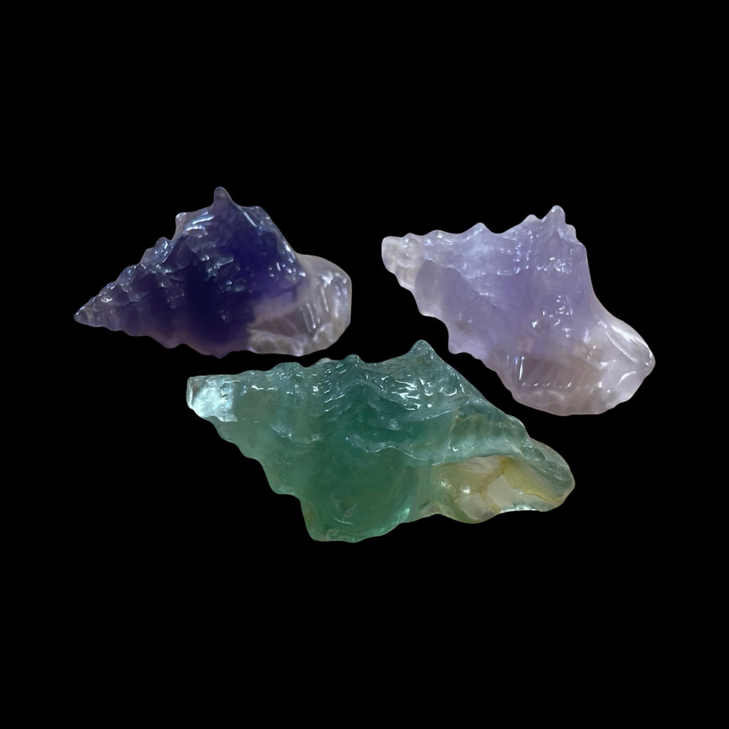 Fluorite Conch Shell