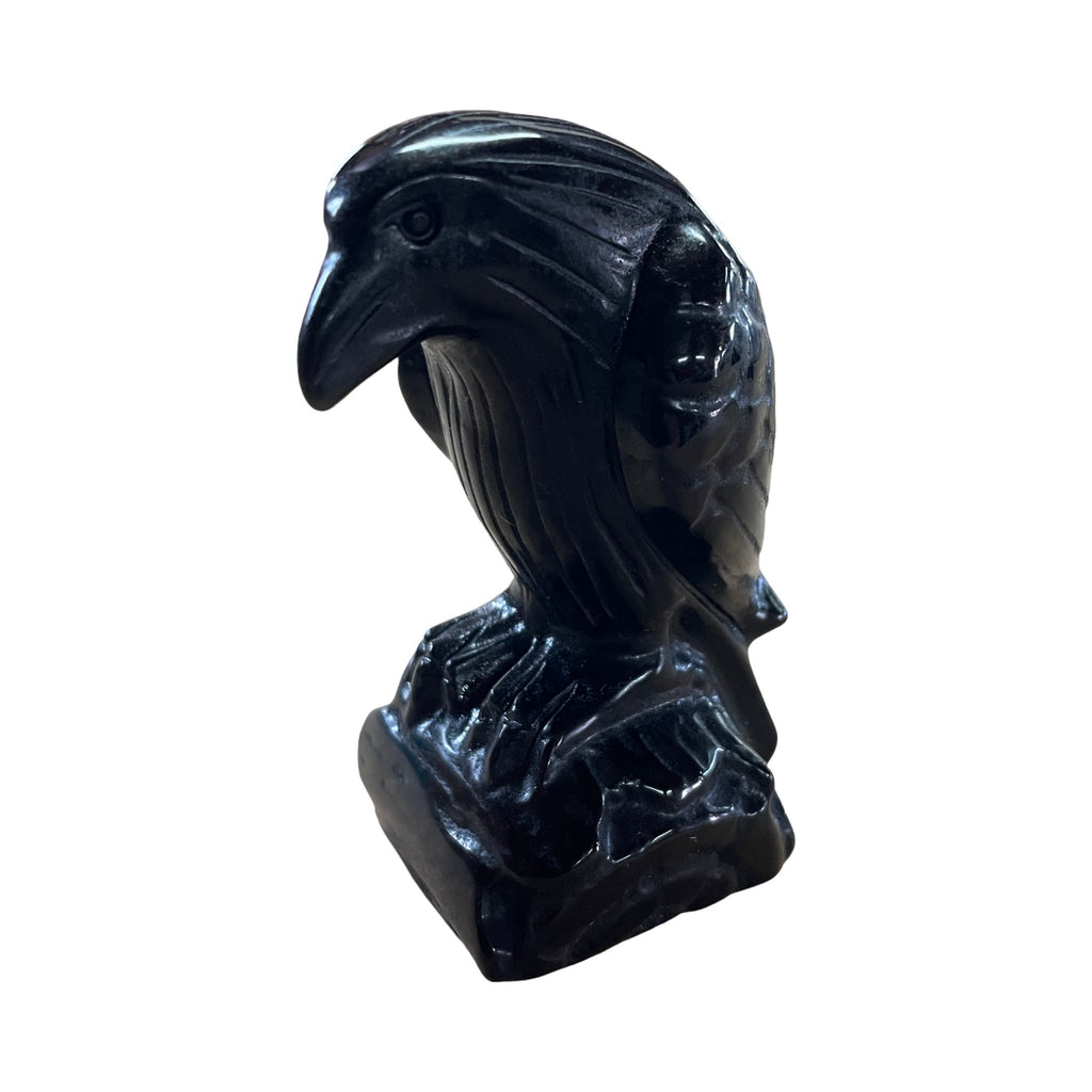 Obsidian Raven