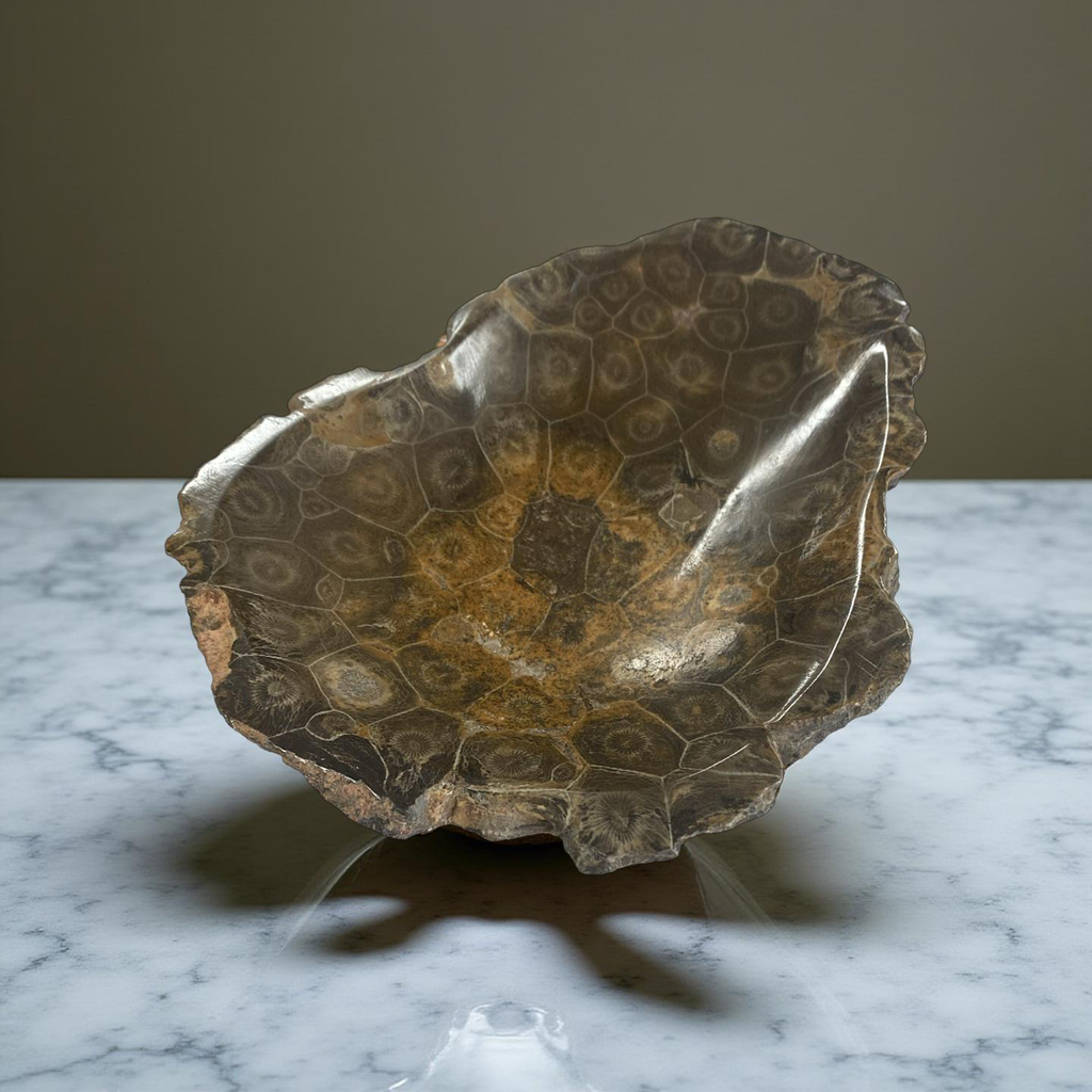 Coral Bowls