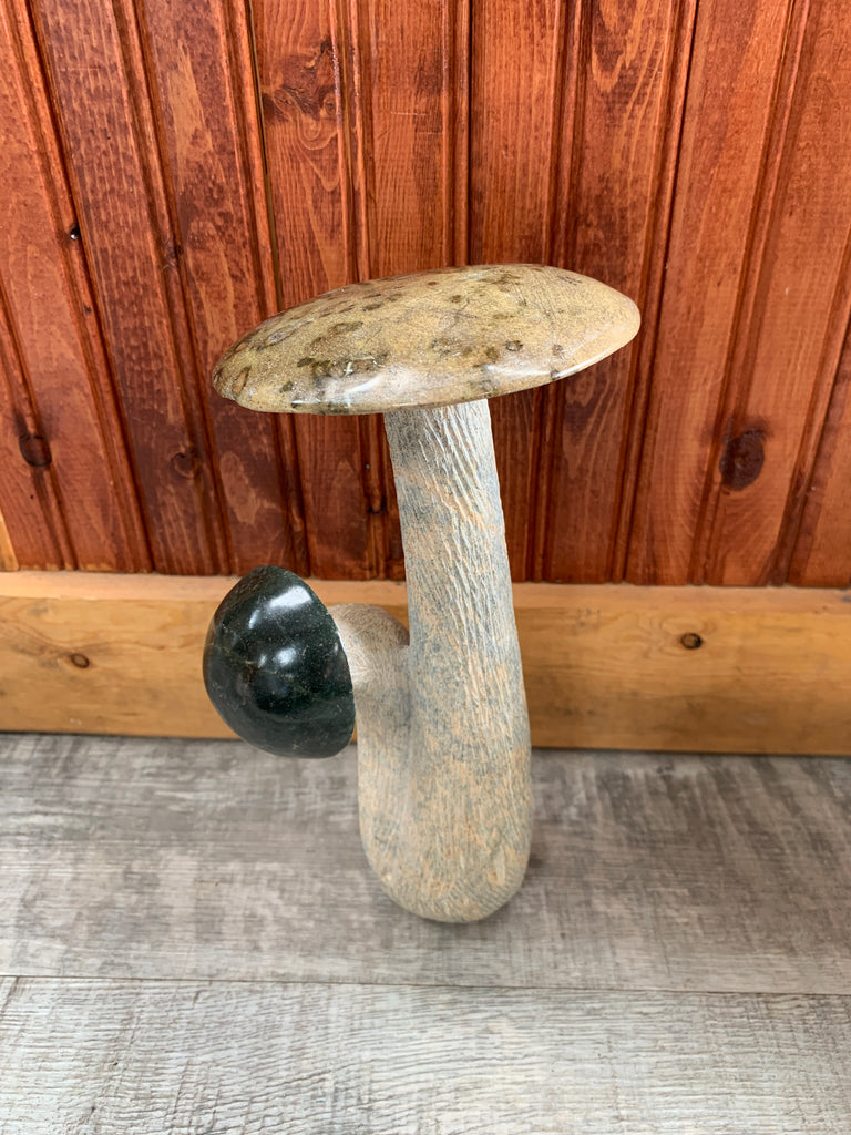 Stone Mushroom Collection