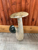 Stone Mushroom Collection