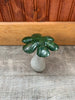 Stone Mushroom Collection
