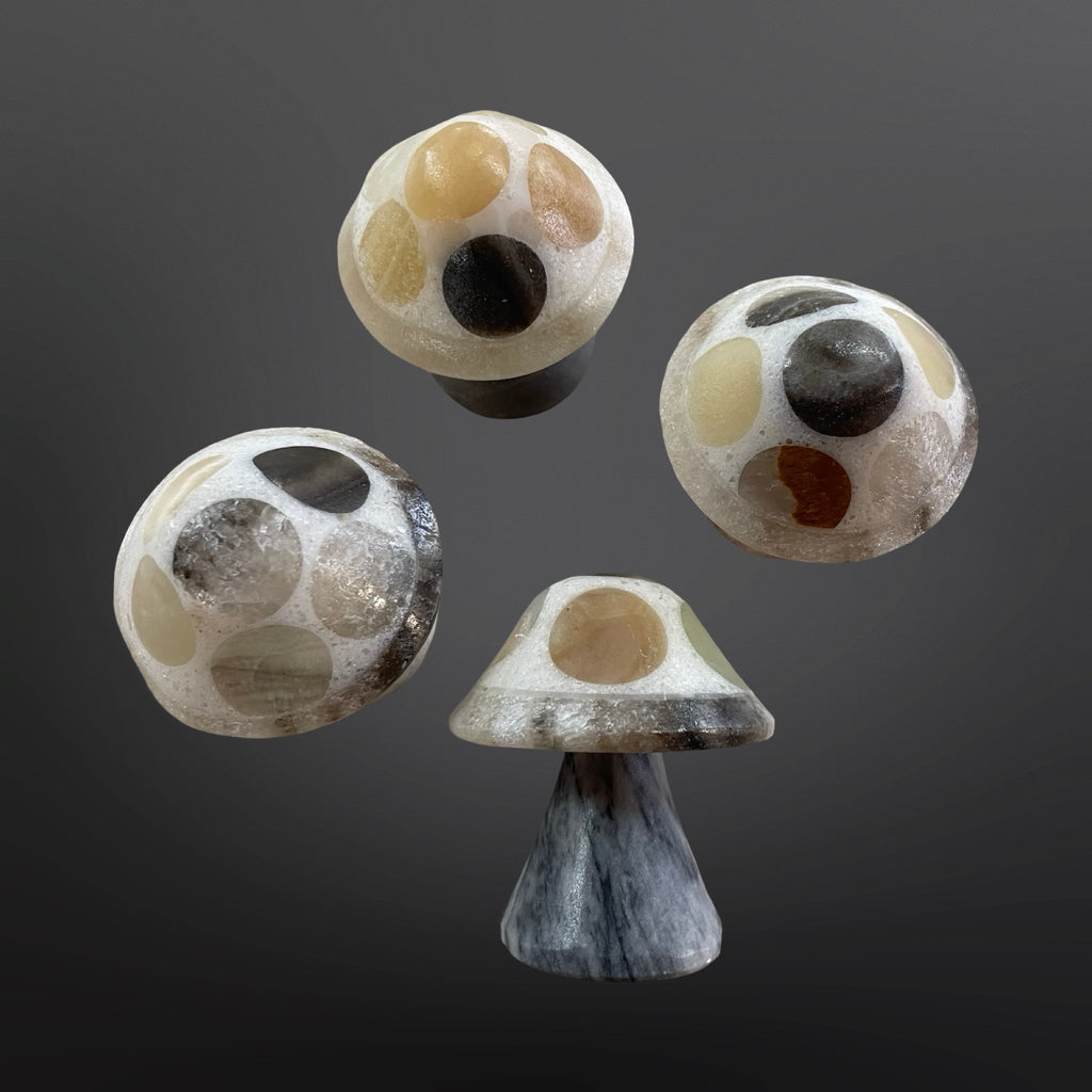 Onyx Mushroom