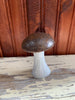Stone Mushroom Collection