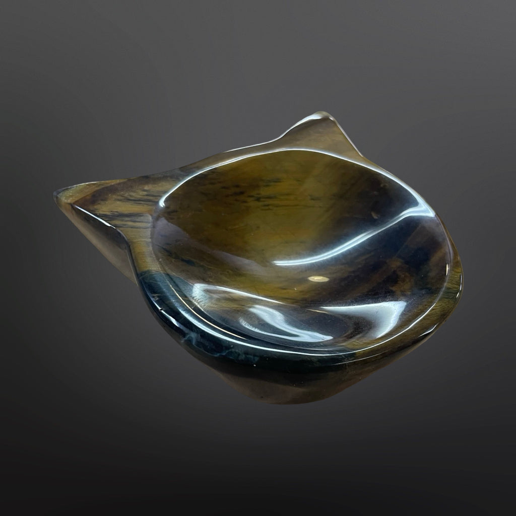 Tiger eye cat bowl