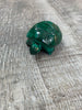 Malachite Turtle