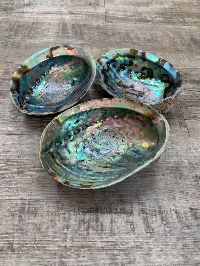 Abalone/Paua Shell - beads, tumbled, smudge bowls