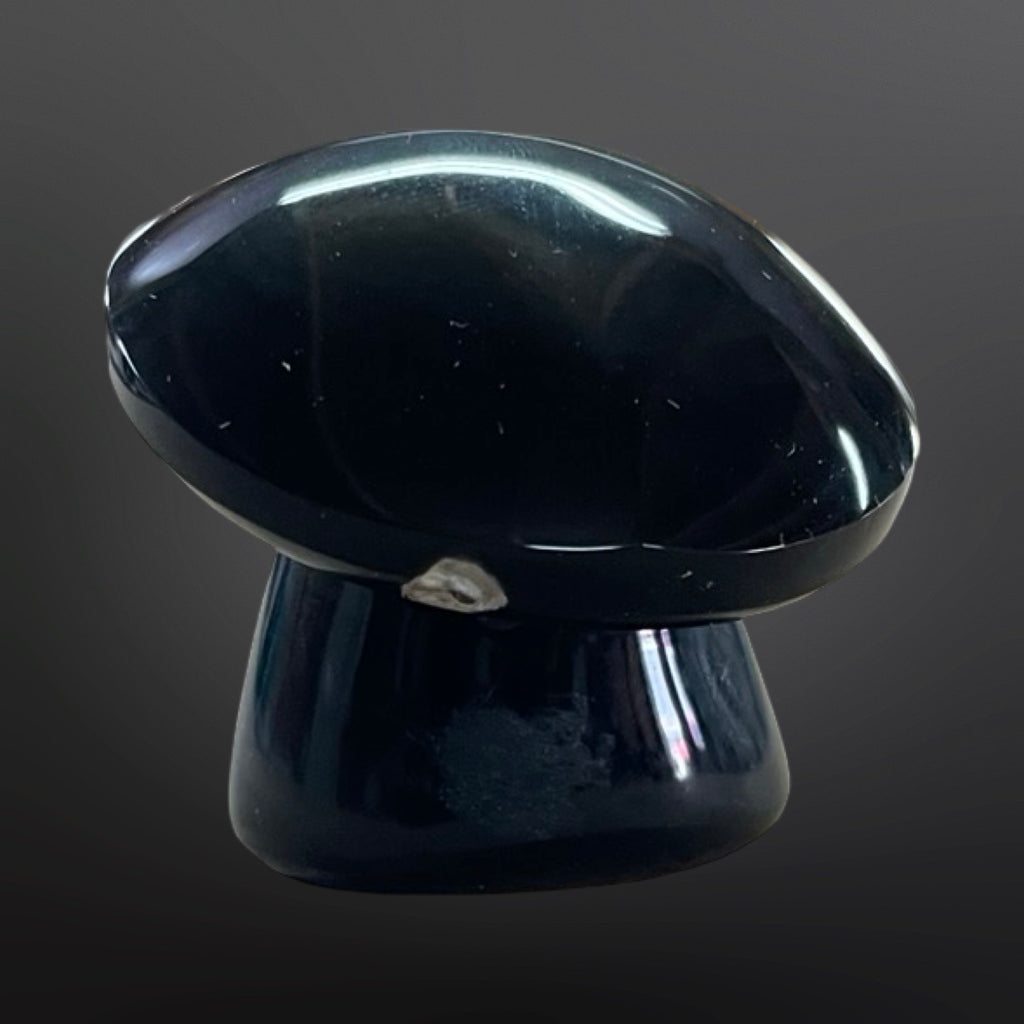 Rainbow Obsidian Paperweights