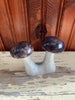 Stone Mushroom Collection