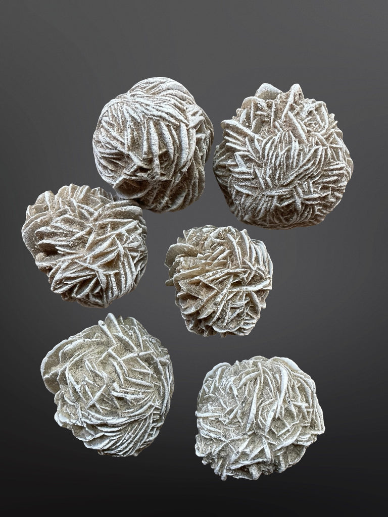 Desert Rose