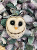 Wool/Feltis Animals