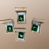 Jade Square Assorted Necklaces