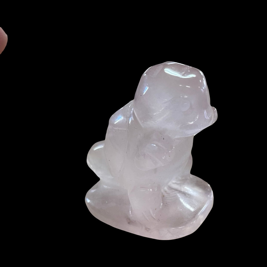 Stone Squirtle