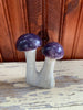 Stone Mushroom Collection