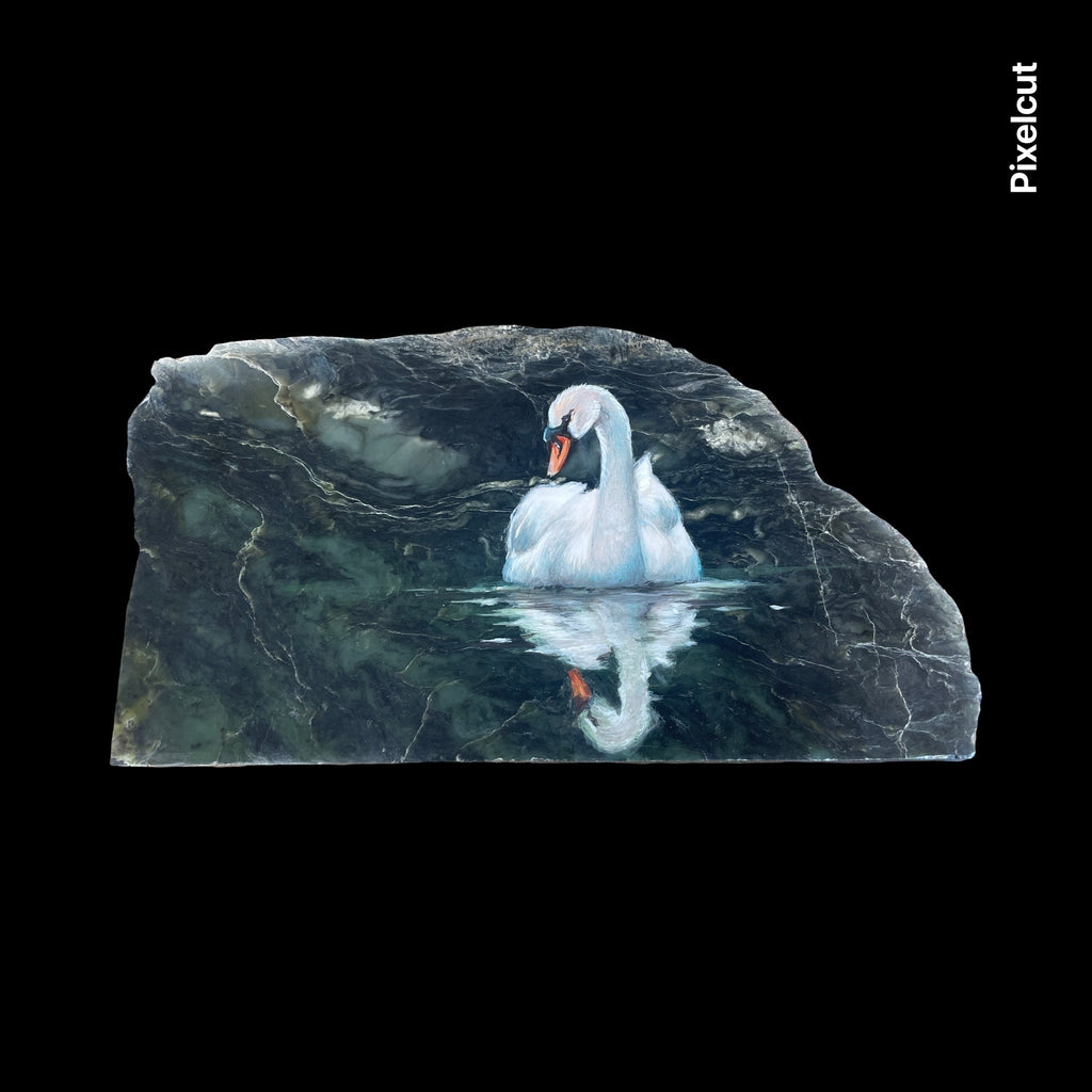 Reflection- Swan on Jade