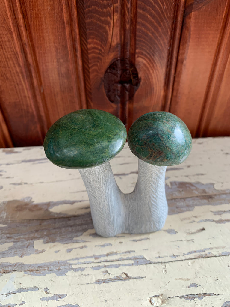 Stone Mushroom Collection