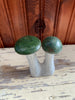 Stone Mushroom Collection