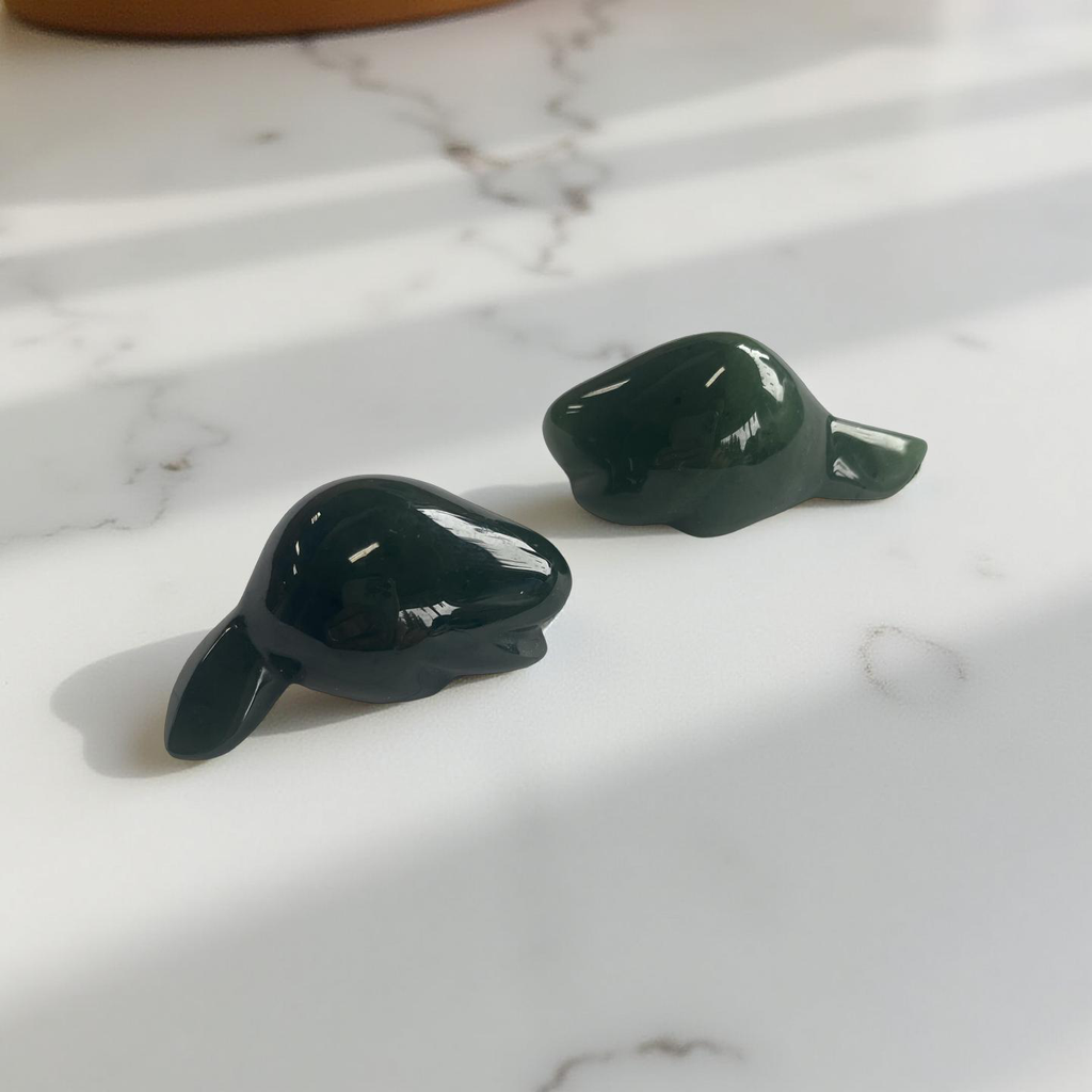 Jade Beaver Sitting