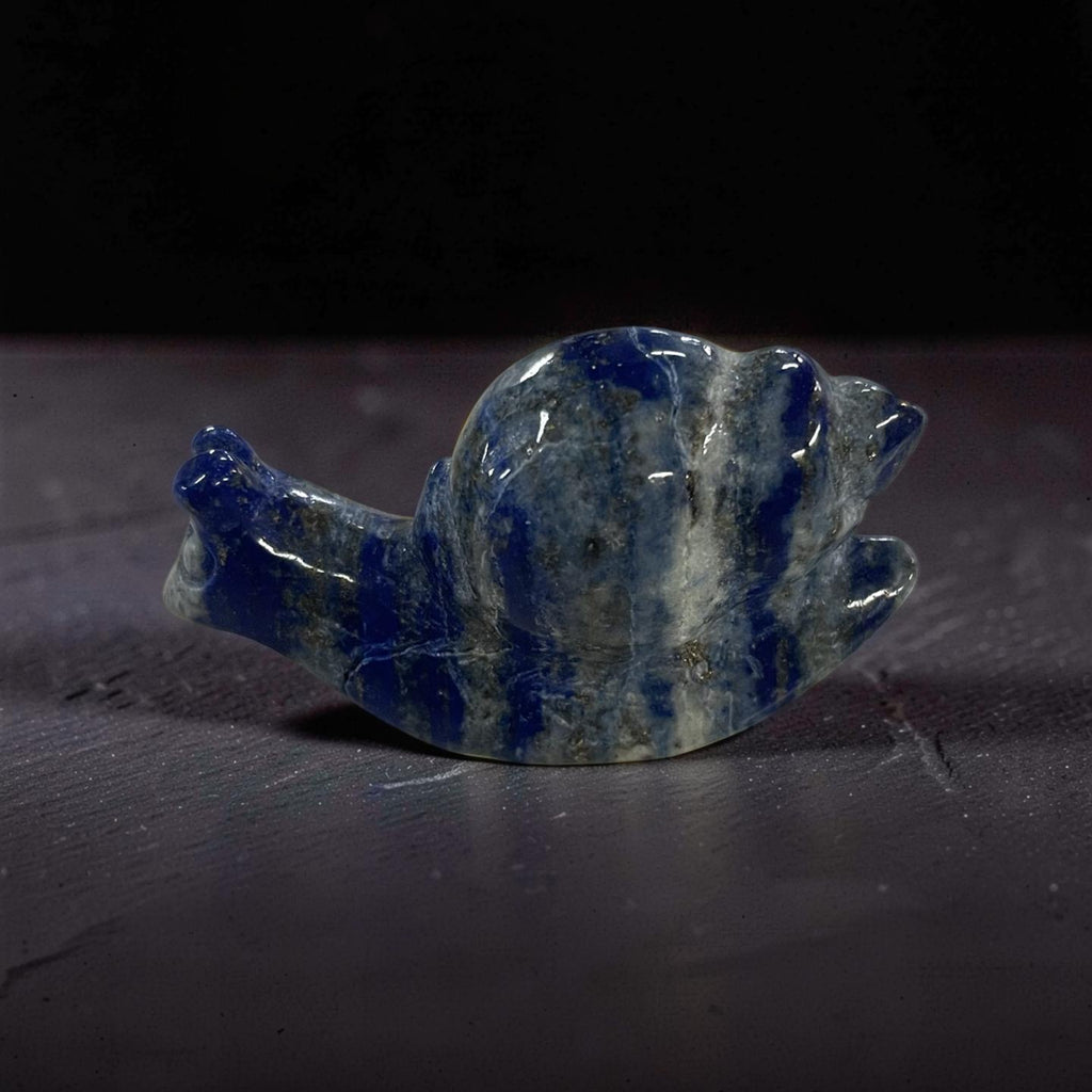 Lapis Lazuli Snail