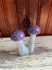Stone Mushroom Collection