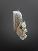 Quartz Squirrel