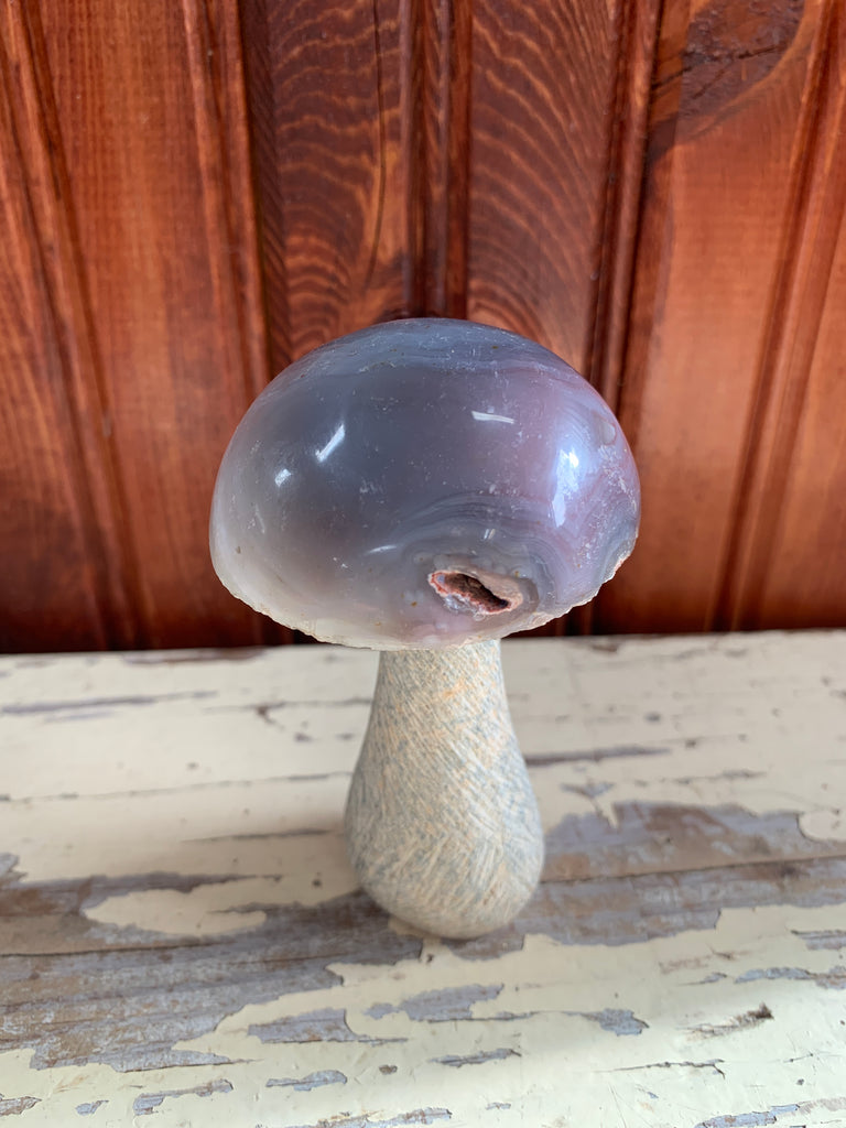 Stone Mushroom Collection