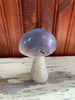 Stone Mushroom Collection