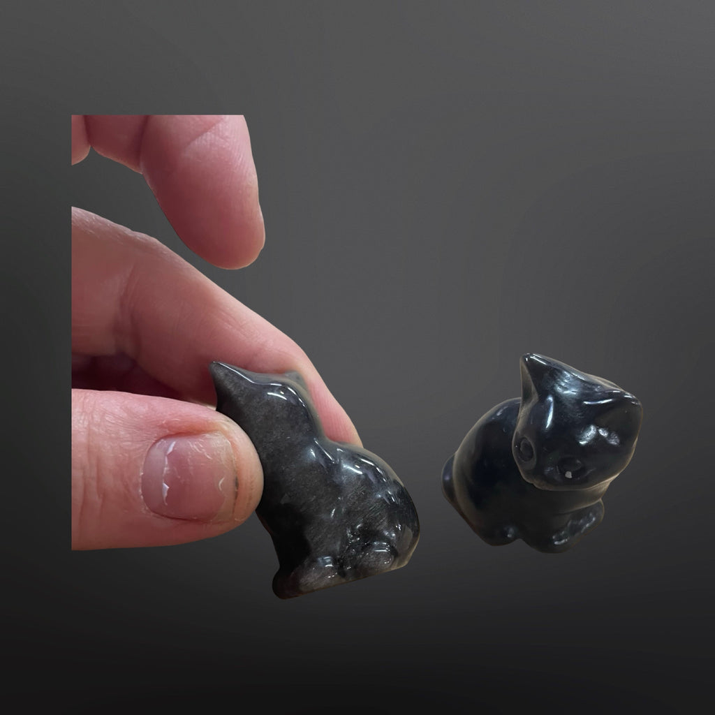 Silver Sheen Obsidian Cat
