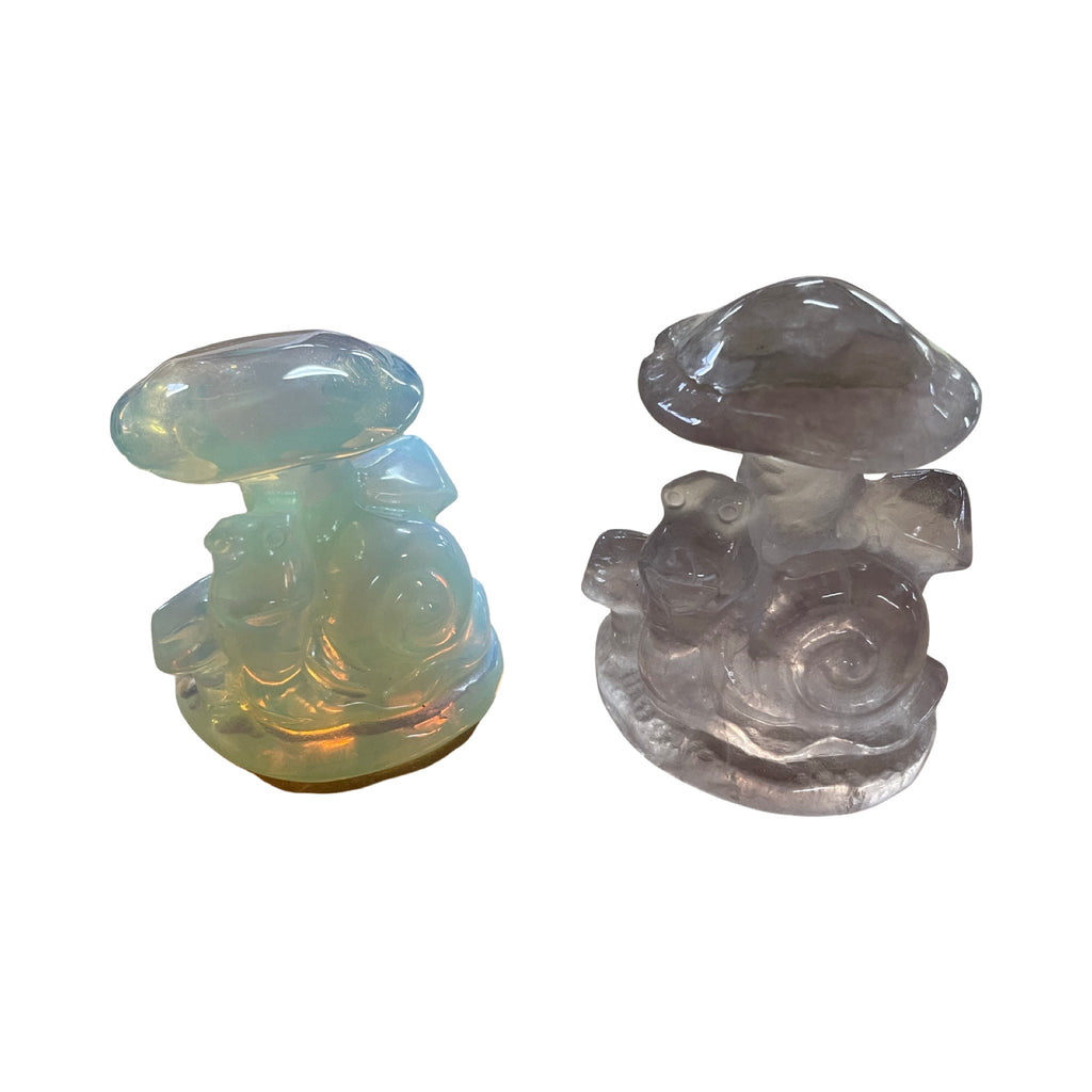 Snail and Mushroom