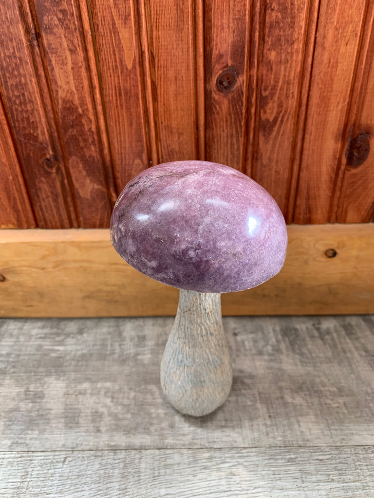 Stone Mushroom Collection