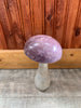 Stone Mushroom Collection