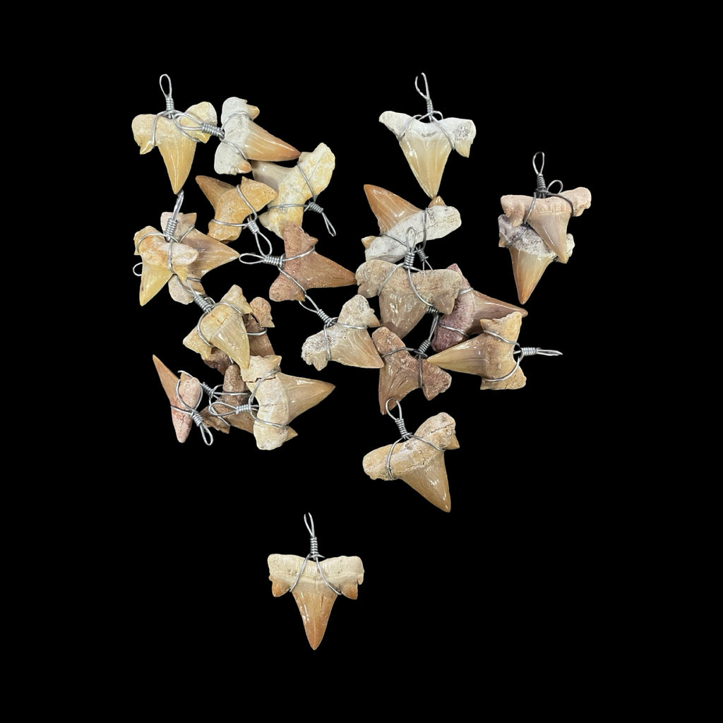 Shark Teeth Pendants