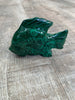 Malachite Fish