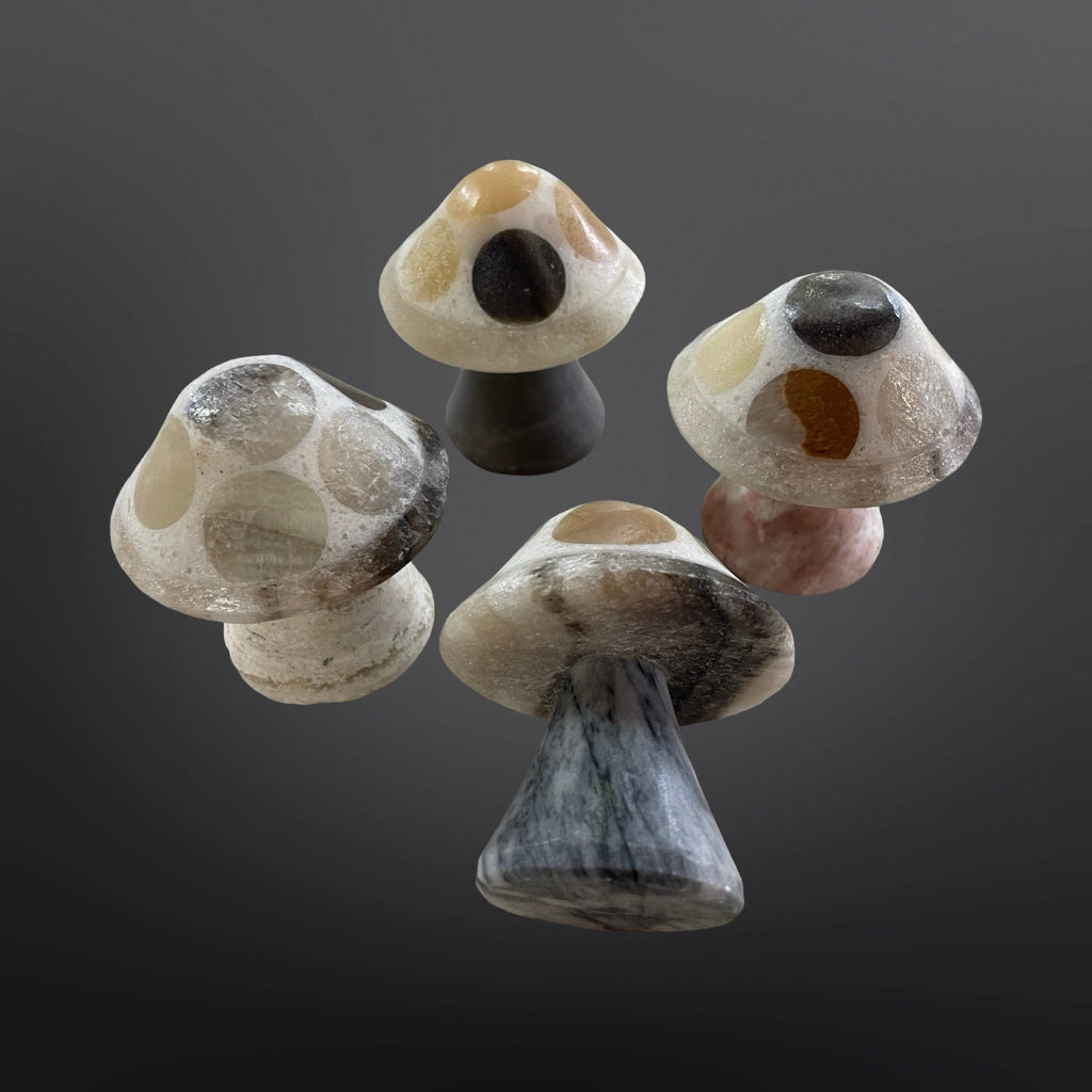 Onyx Mushroom