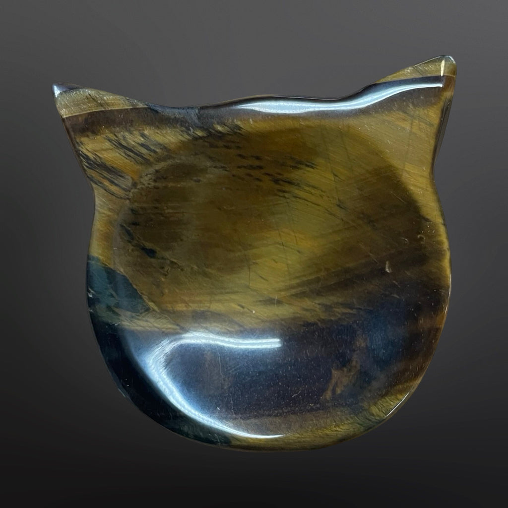 Tiger eye cat bowl