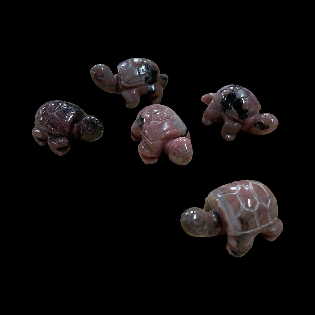 Rhodonite Turtle