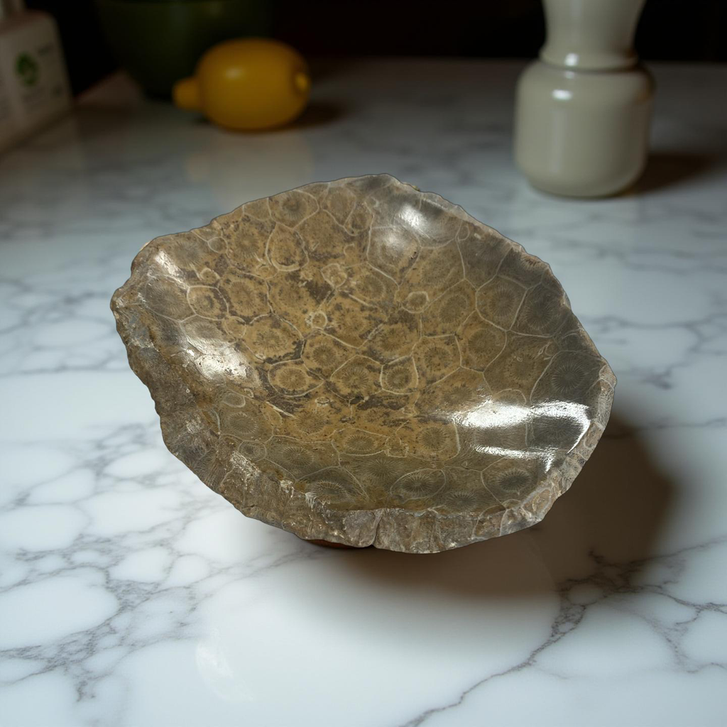 Coral Bowls