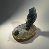 Jade Eskimo pull/seal